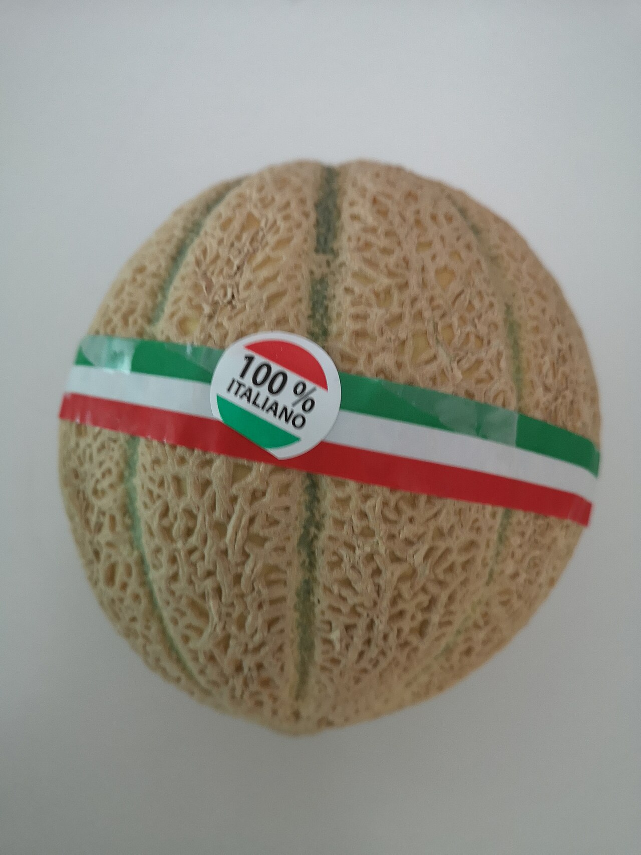 サケーオのメロン